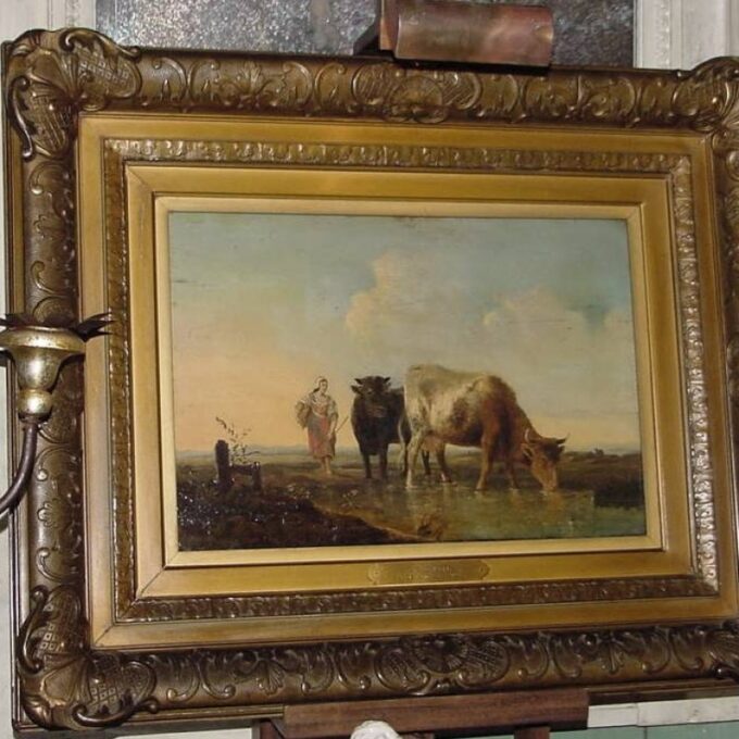 Cow Watering in a stream