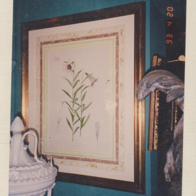 Framed Lithograph of Botanical - Image 2