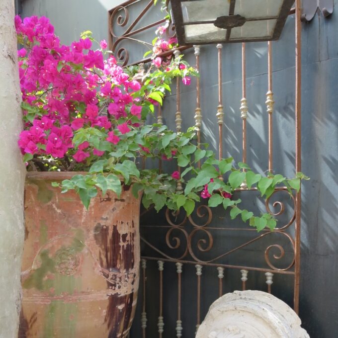 Rustic Antique Wrought Iron Driveway Garden Entrance Metal Gate for portal entry - Image 3