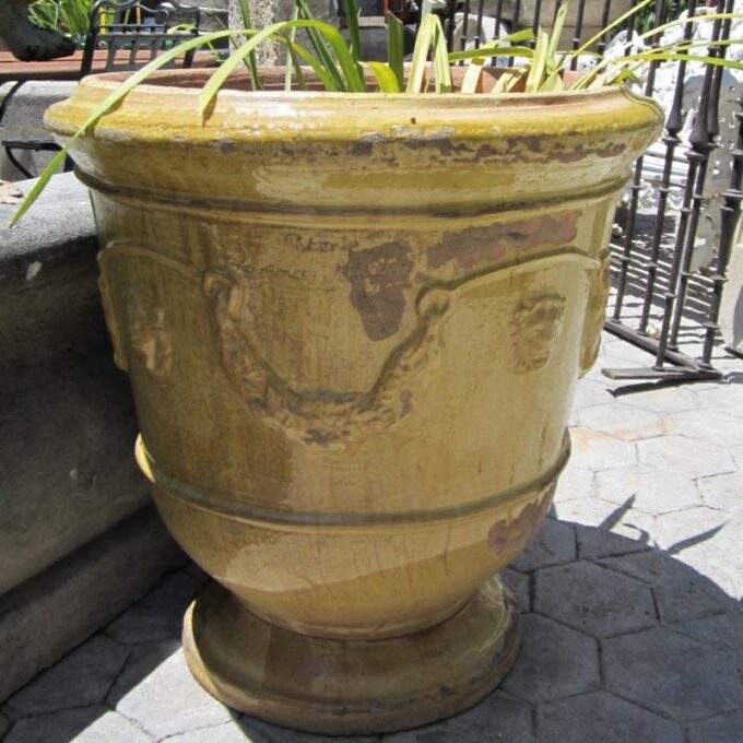 Yellow Anduze - Image 3