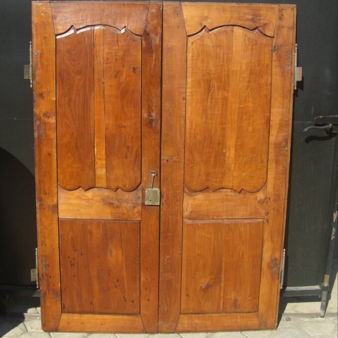 Pair 18th C. Louis XV Doors - Image 2