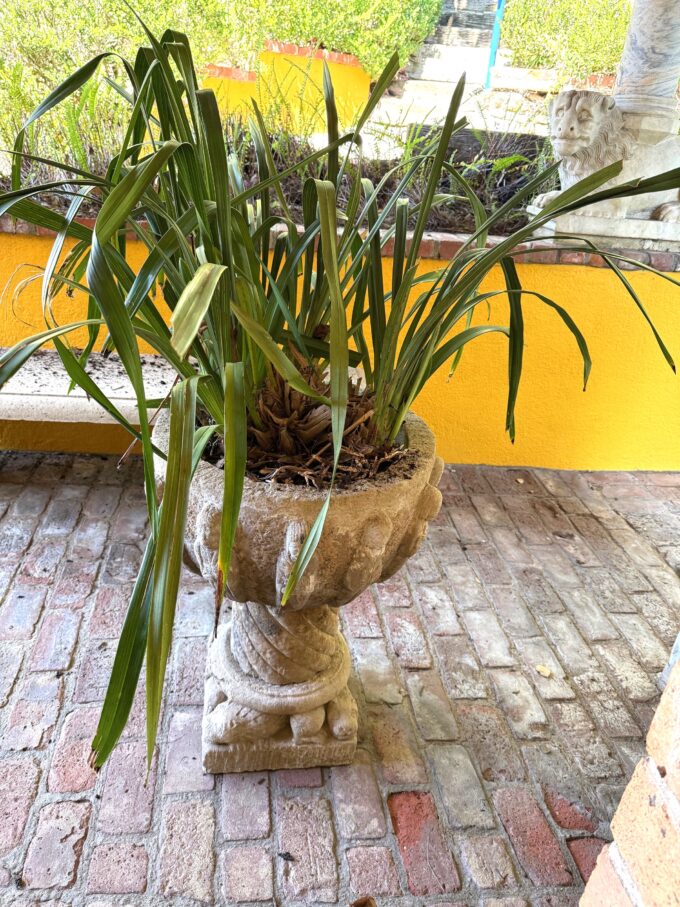 Late 19th Century Carved Romanesque Style Planter Vasque